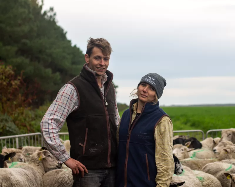 Longhorn Shearing Gilet